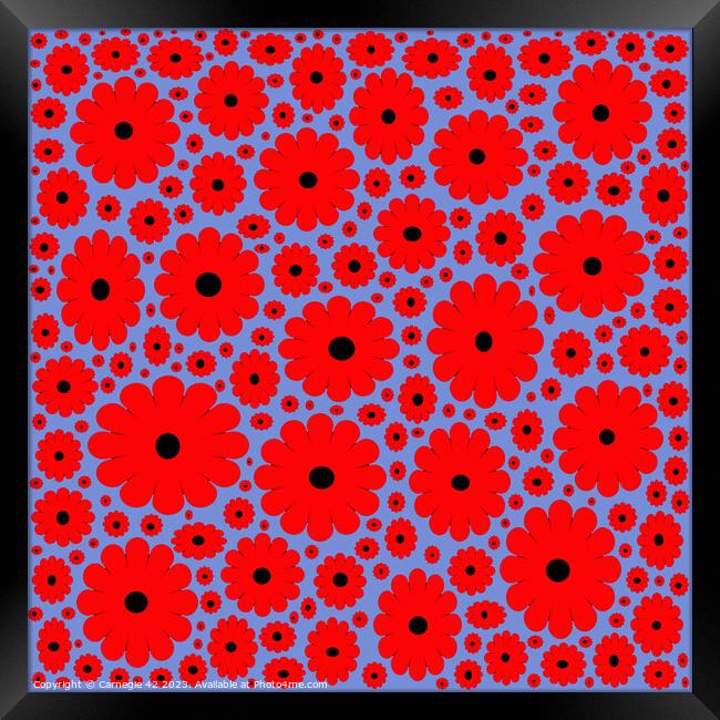 Poignant Poppy Tribute, Remembrance Day Framed Print by Carnegie 42