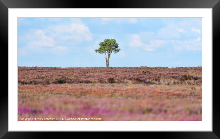 Vibrant Summer Pastoral Framed Mounted Print by nick coombs