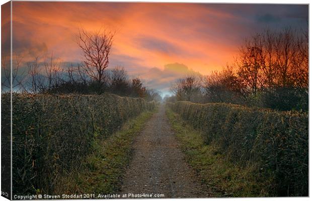 Bowes Path Home 2 Canvas Print by Steven Stoddart
