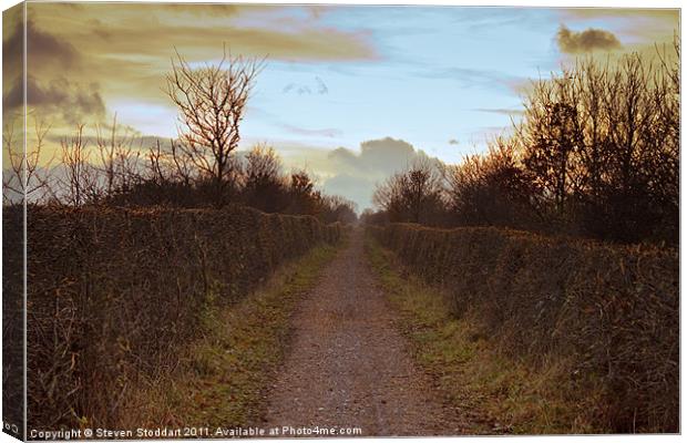Bowes Path Home 3 Canvas Print by Steven Stoddart