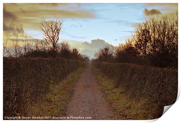 Bowes Path Home 3 Print by Steven Stoddart
