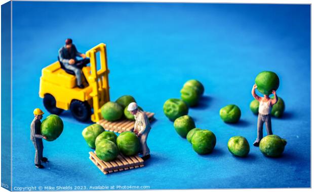 Harvesting the Miniscule: Pea Operation Canvas Print by Mike Shields