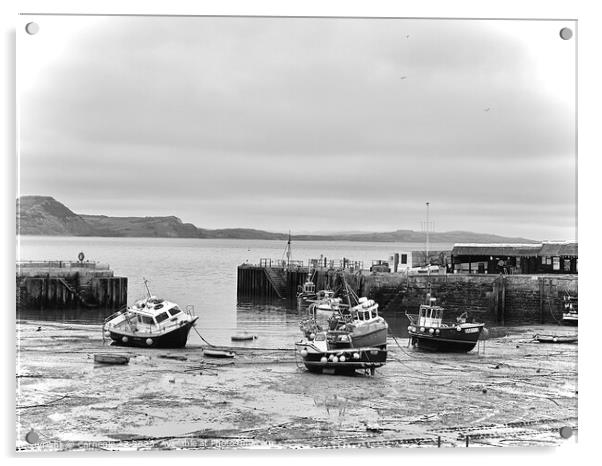 Historic Lyme Regis Harbour Vista Acrylic by Carnegie 42