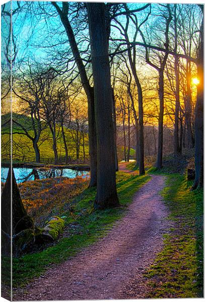 A Sunny Woodland Pathway Canvas Print by Peter Blunn