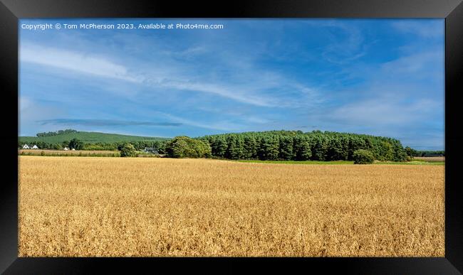 Serene Moray Farmlands: Scotland's Pride Framed Print by Tom McPherson
