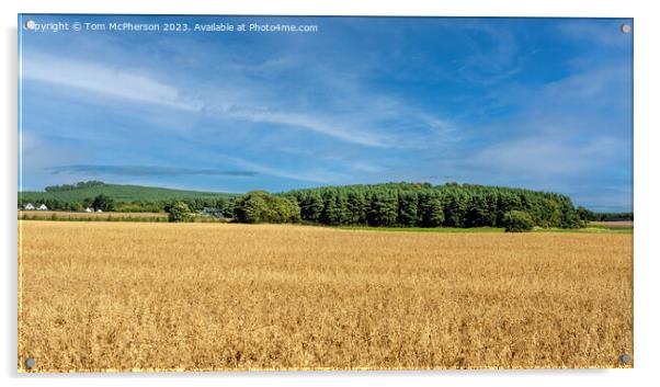 Serene Moray Farmlands: Scotland's Pride Acrylic by Tom McPherson