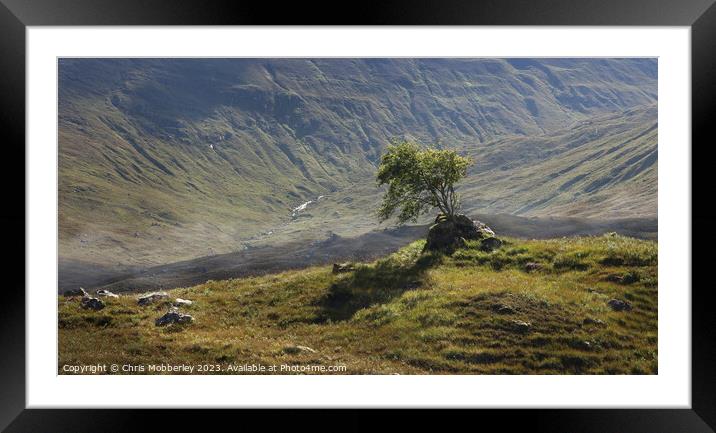 Lone Tree near Loch Cluanie, Scotland Framed Mounted Print by Chris Mobberley