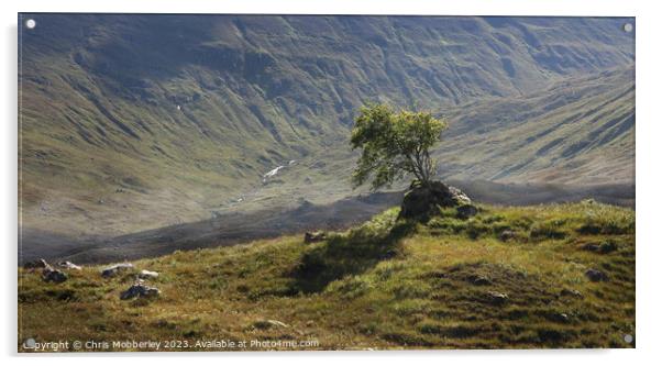 Lone Tree near Loch Cluanie, Scotland Acrylic by Chris Mobberley