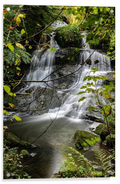 Cascading Waterfall's Tranquil Beauty Acrylic by John Hastings