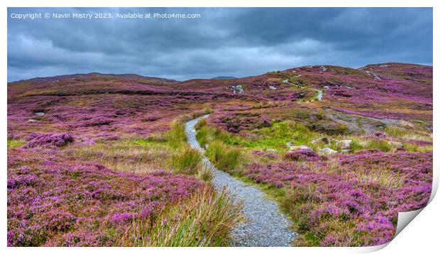 The Path through the Heather Print by Navin Mistry