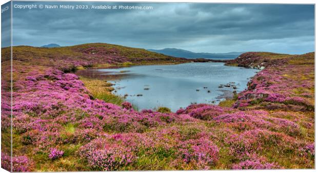 A lochan and Heather, Isle of Harris Canvas Print by Navin Mistry
