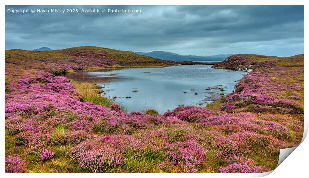A lochan and Heather, Isle of Harris Print by Navin Mistry