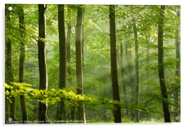 Sunlit Woodland  Acrylic by Simon Johnson