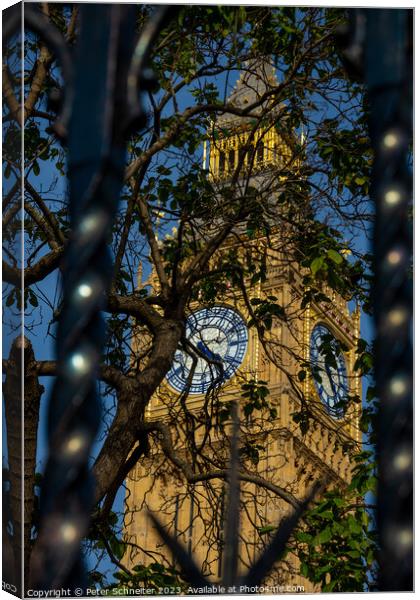 Elizabeth Tower,  Clock Tower, Westminster, London, UK Canvas Print by Peter Schneiter