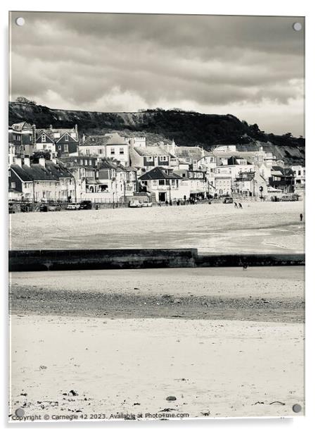 Lyme Regis: A Serene Coastal Perspective Acrylic by Carnegie 42