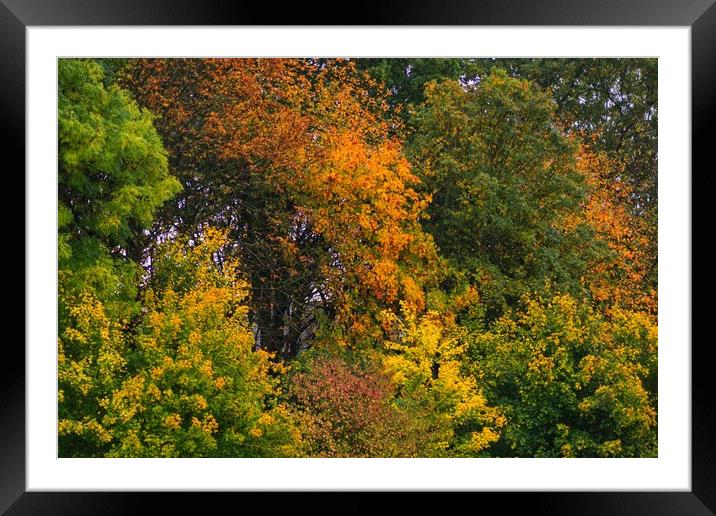 Colours, Shapes and Shades. Framed Mounted Print by 28sw photography