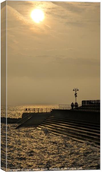 Sun on the humber Canvas Print by David Smith