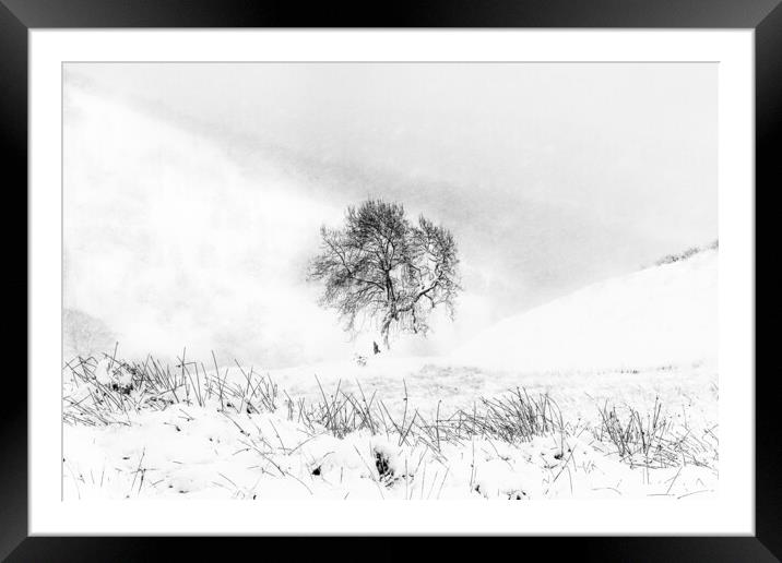 Wintering Framed Mounted Print by Garry Quinn
