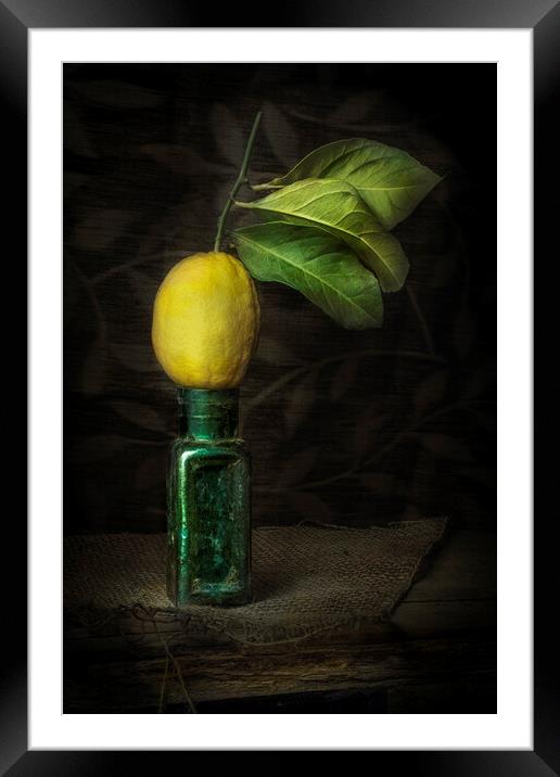 Lemon Squeezy Framed Mounted Print by Garry Quinn