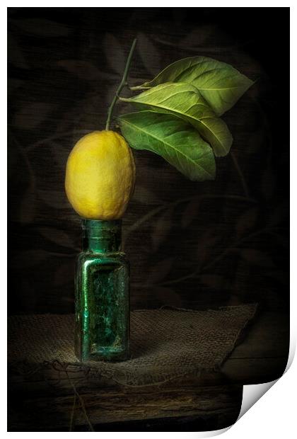 Lemon Squeezy Print by Garry Quinn