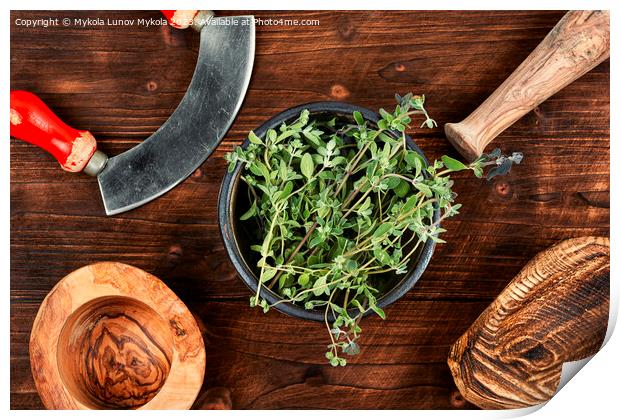 Raw sprig of marjoram, spice on old table. Print by Mykola Lunov Mykola