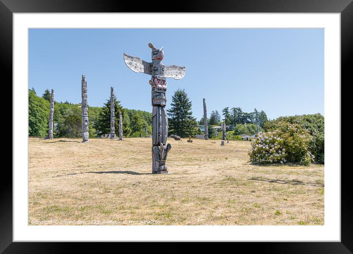 Ceremonial Totem Poles in the Namgis Burial Grounds in Alert Bay, British Columbia, Canada Framed Mounted Print by Dave Collins
