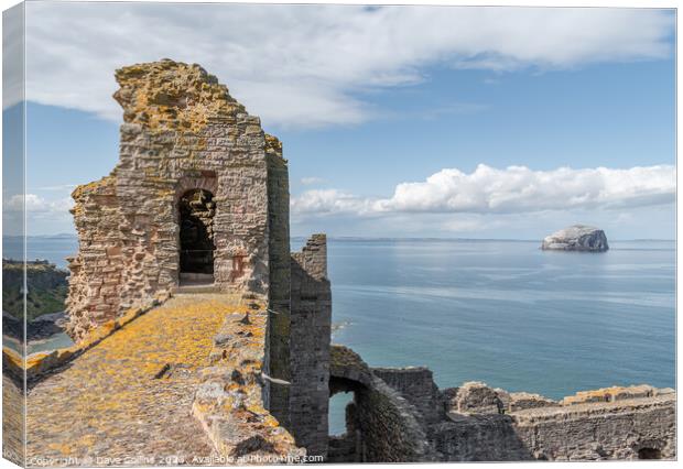 Bass Rock in the Firth of Forth from the top the west wall of Tantallon Castle, North Berwick, East Lothian, Scotland Canvas Print by Dave Collins