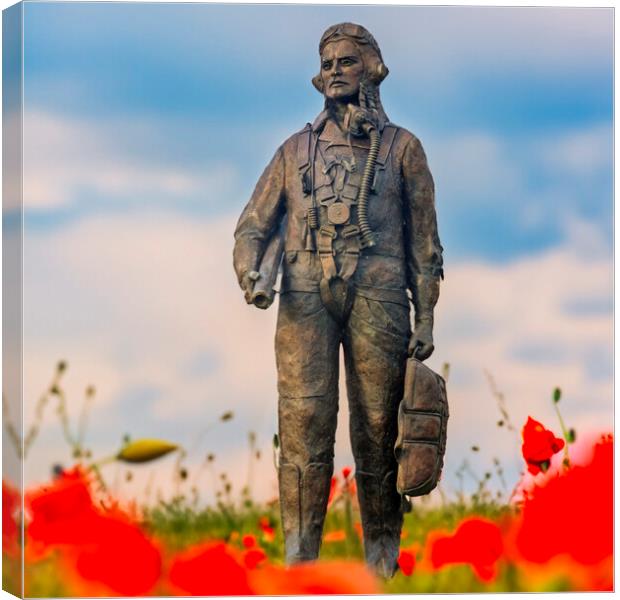 Honouring Our Wings RAF Hero Amidst Poppies Canvas Print by Steve Smith
