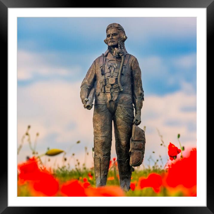 Honouring Our Wings RAF Hero Amidst Poppies Framed Mounted Print by Steve Smith