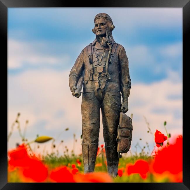 Honouring Our Wings RAF Hero Amidst Poppies Framed Print by Steve Smith