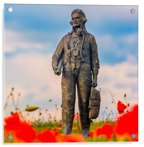 Honouring Our Wings RAF Hero Amidst Poppies Acrylic by Steve Smith