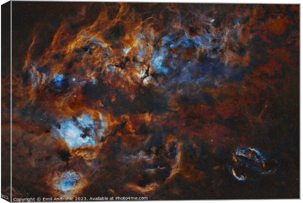 Constellation Cygnus in narrowband Canvas Print by Emil Andronic