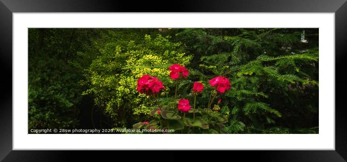 The Light, The Magic, The Garden. Framed Mounted Print by 28sw photography
