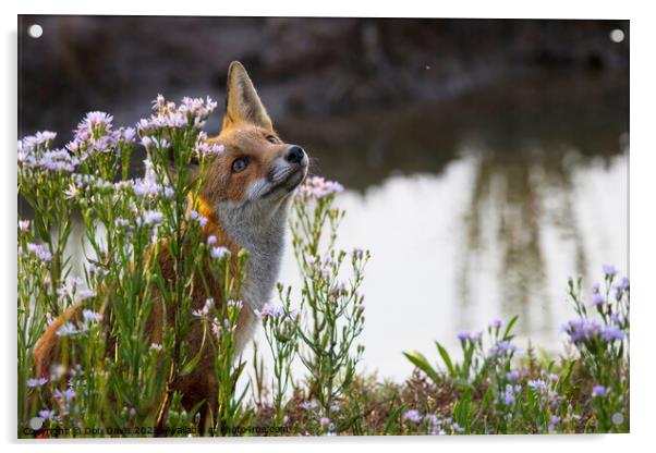 Plant flower Fox Acrylic by Don Davis