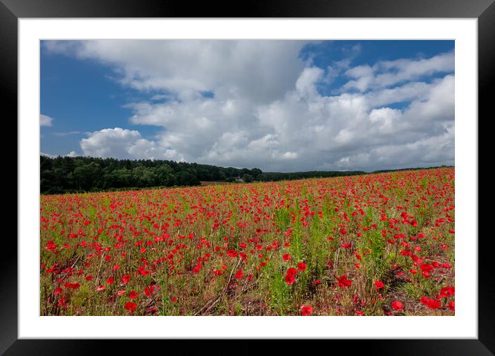 Flanders Field Framed Mounted Print by Apollo Aerial Photography