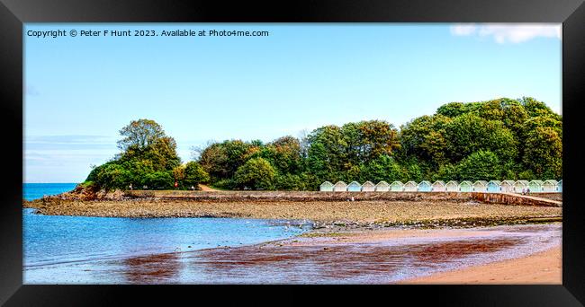 Picturesque Broadsands Beach Paignton Framed Print by Peter F Hunt