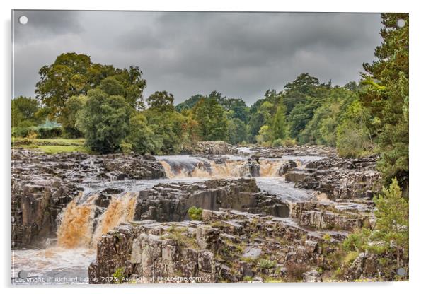 A Damp Autumn Morning at Low Force Waterfall Acrylic by Richard Laidler