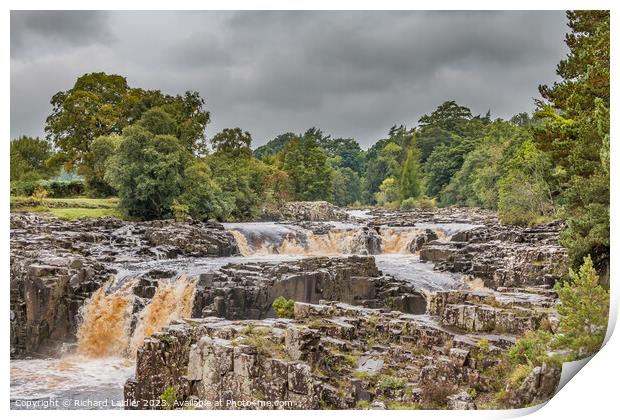 A Damp Autumn Morning at Low Force Waterfall Print by Richard Laidler
