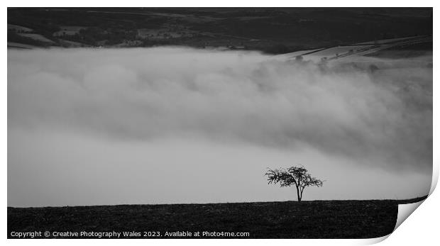 Tree above the clouds Print by Creative Photography Wales