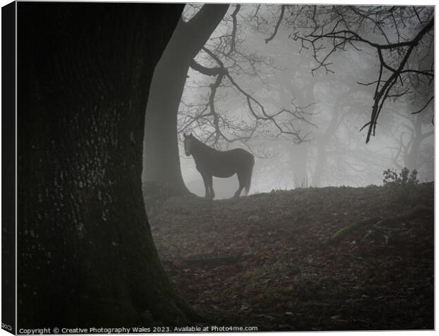 Pony in the Mist Brecon Beacons Canvas Print by Creative Photography Wales