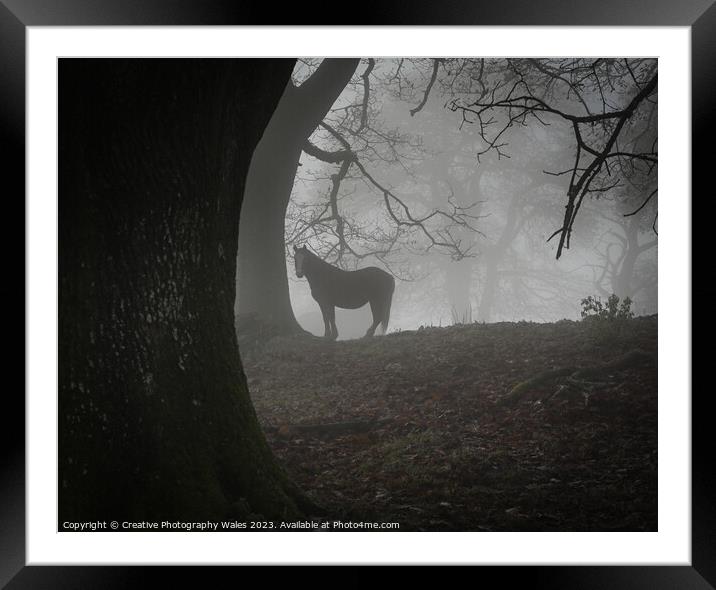 Pony in the Mist Brecon Beacons Framed Mounted Print by Creative Photography Wales