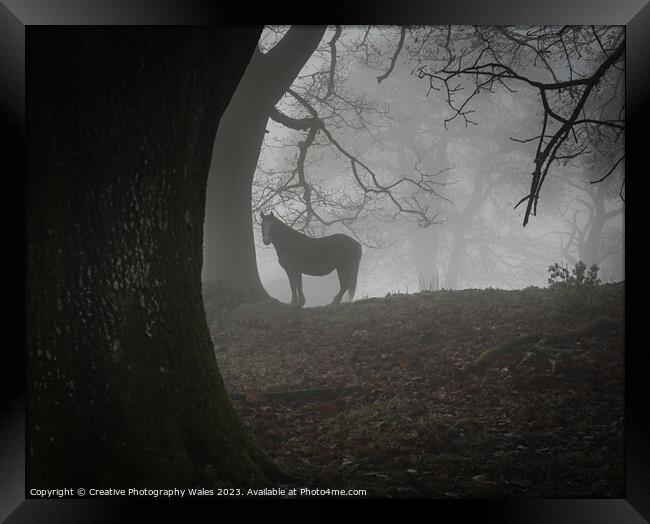 Pony in the Mist Brecon Beacons Framed Print by Creative Photography Wales