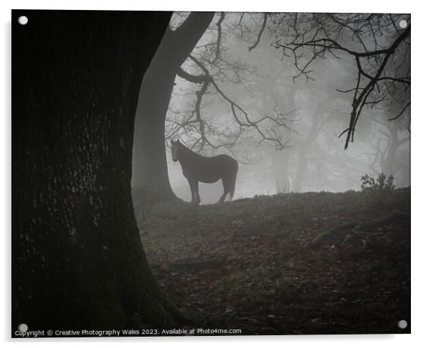 Pony in the Mist Brecon Beacons Acrylic by Creative Photography Wales