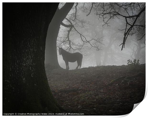 Pony in the Mist Brecon Beacons Print by Creative Photography Wales