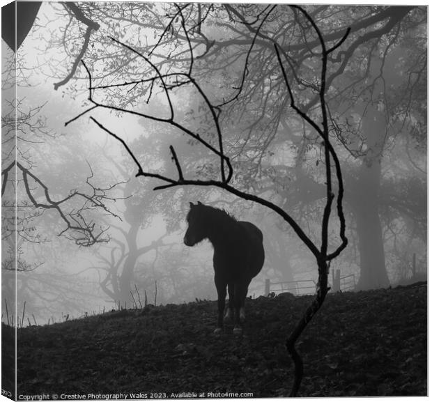 Pony in the Mist Canvas Print by Creative Photography Wales