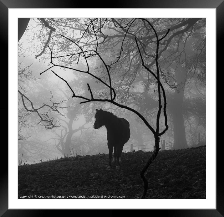 Pony in the Mist Framed Mounted Print by Creative Photography Wales
