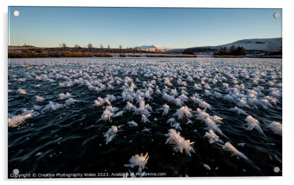 Mynydd Iltyd Frozen Landscape Acrylic by Creative Photography Wales