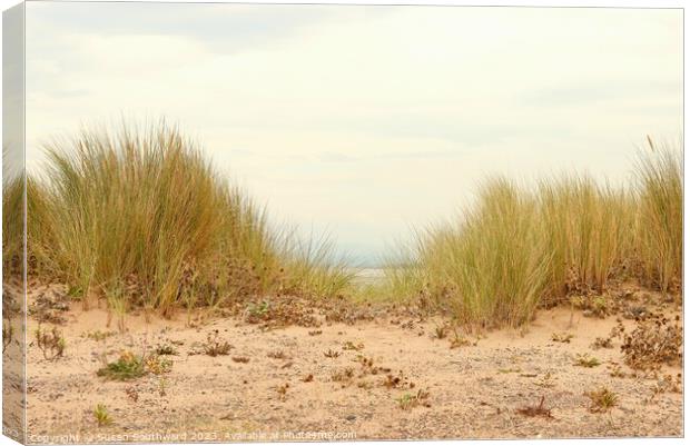 The Dunes Canvas Print by Susan Southward