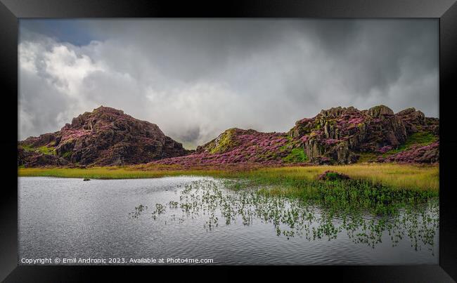 Innominate Tarn Framed Print by Emil Andronic