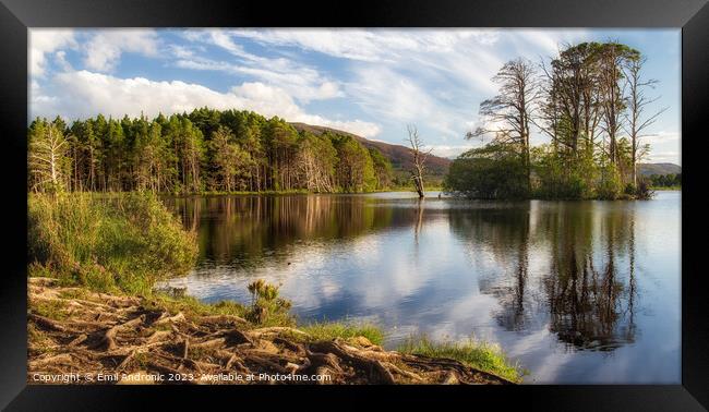 Loch Mallachie  Framed Print by Emil Andronic